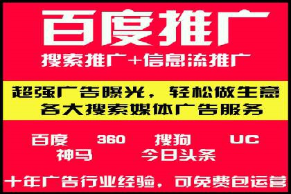 专业SEM服务公司案例分析报告